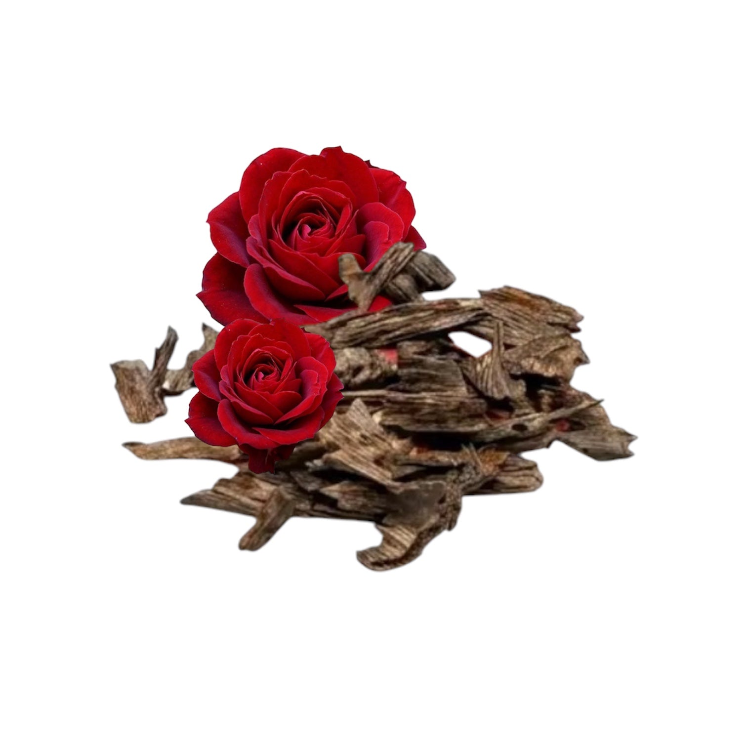 ROSE OUDH INTENSE