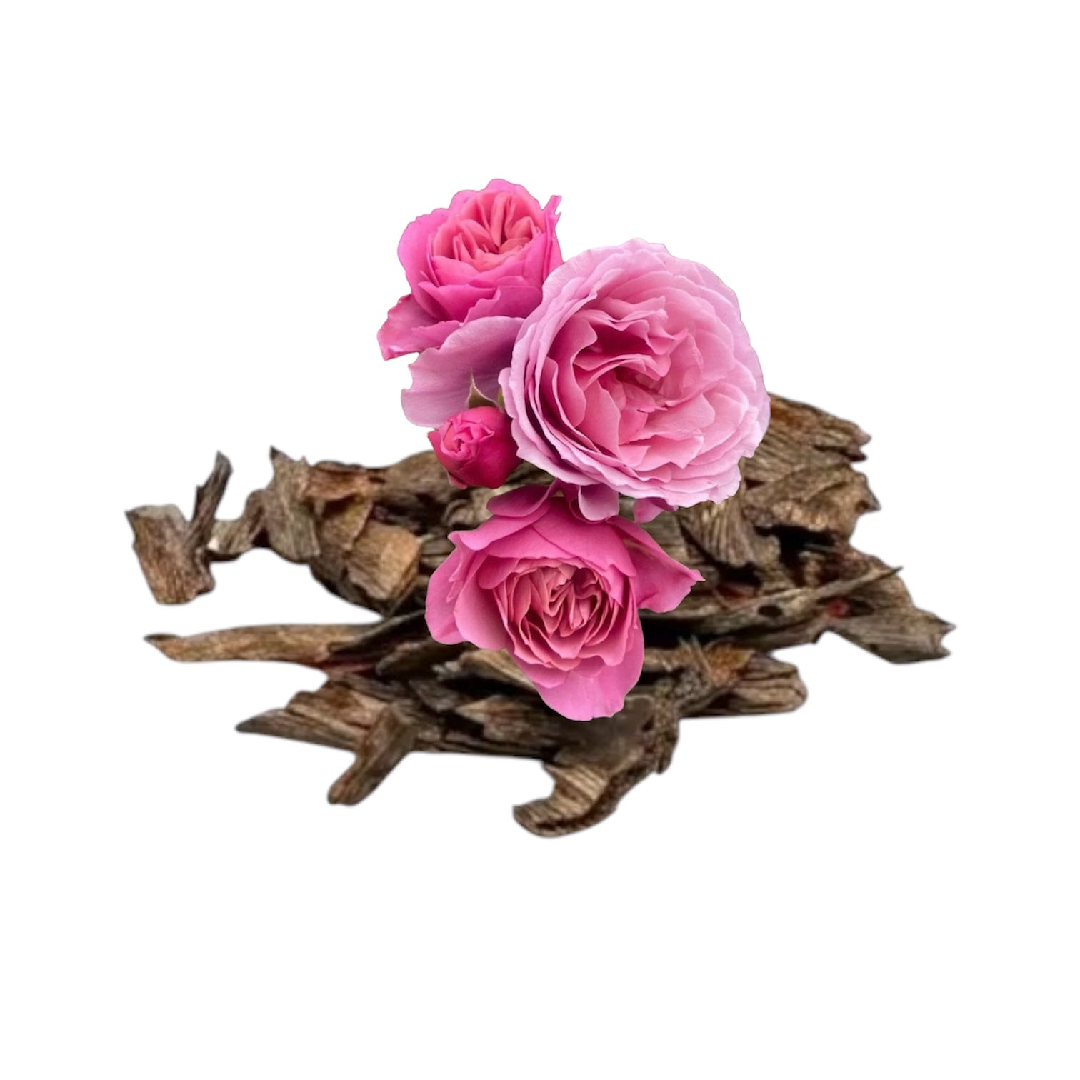ROSE BOUQUET OUDH